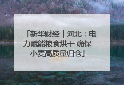 新华财经｜河北：电力赋能粮食烘干 确保小麦高质量归仓